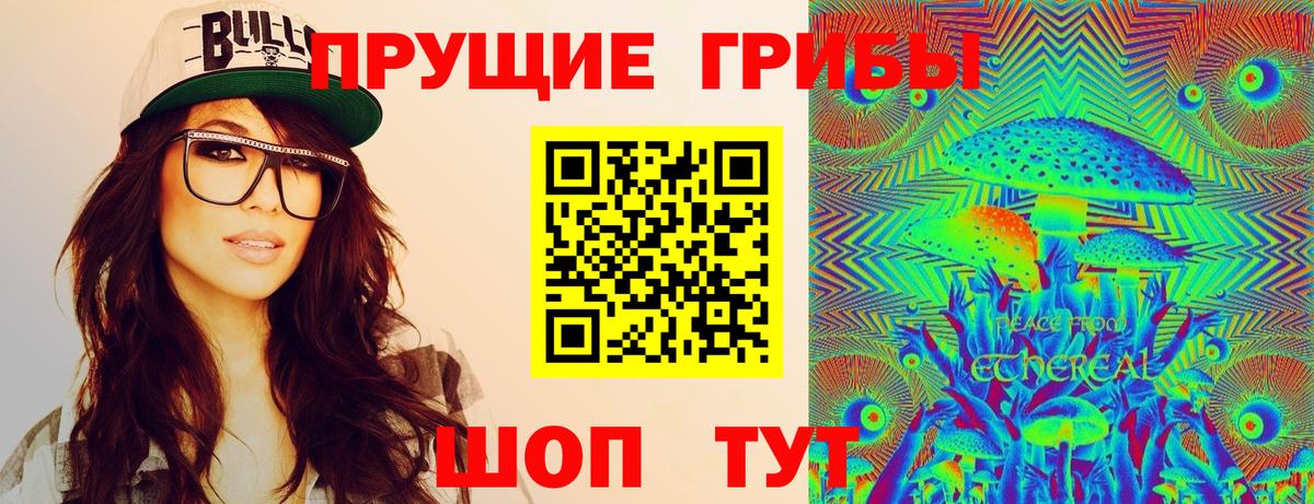 Псилоцибиновые грибы GOLDEN TEACHER Сокол