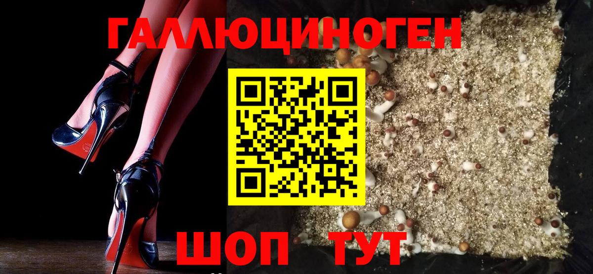 Псилоцибиновые грибы мухоморы  Вход с VPN  Сокол 