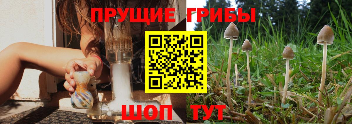 ЭКСТАЗИ Сокол
